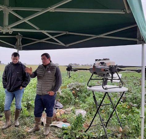 Drone agricole : Une nouvelle stratégie pour semer les couverts avant la moisson