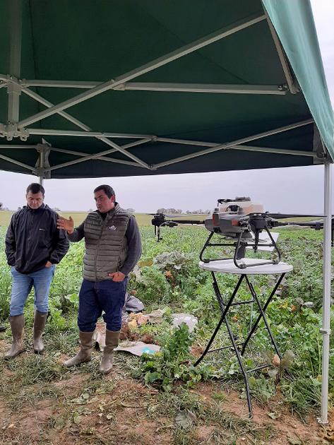 Drone agricole : Une nouvelle stratégie pour semer les couverts avant la moisson