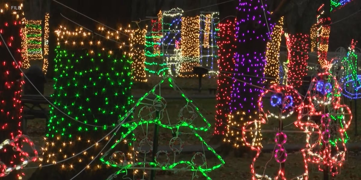#États-Unis Un festival lumineux et innovant avec le premier spectacle de drones à Broome County