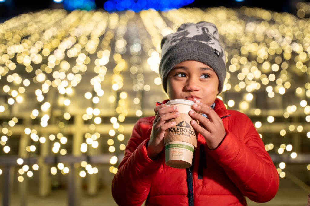 France : Le zoo de Tolède célèbre ses 40 ans avec un spectacle de drones lumineux