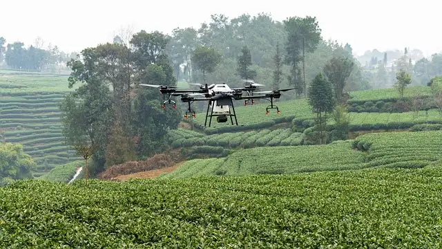France : Retard dans l&rsquo;application de la loi sur les drones agricoles