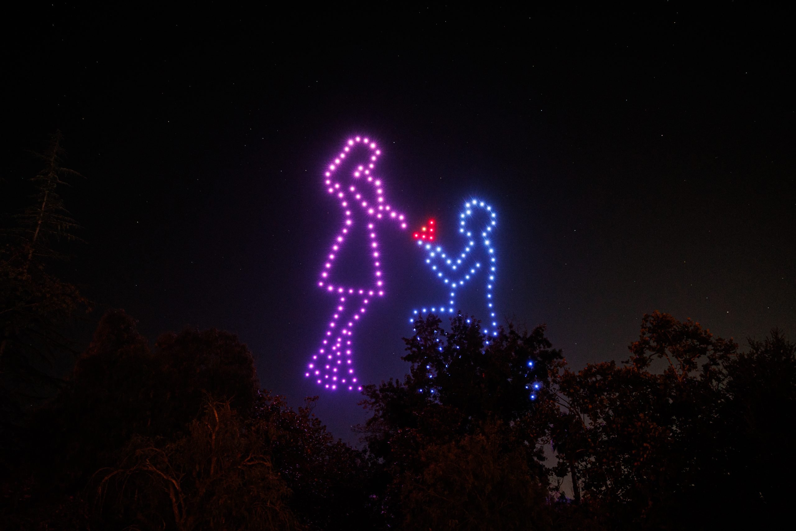 Illuminez Votre Mariage avec un Spectacle de Drones Animés