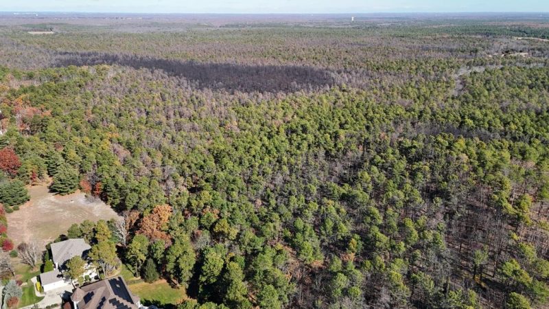La Nature Préservée à Travers les Spectacles de Drones à Black Run Preserve