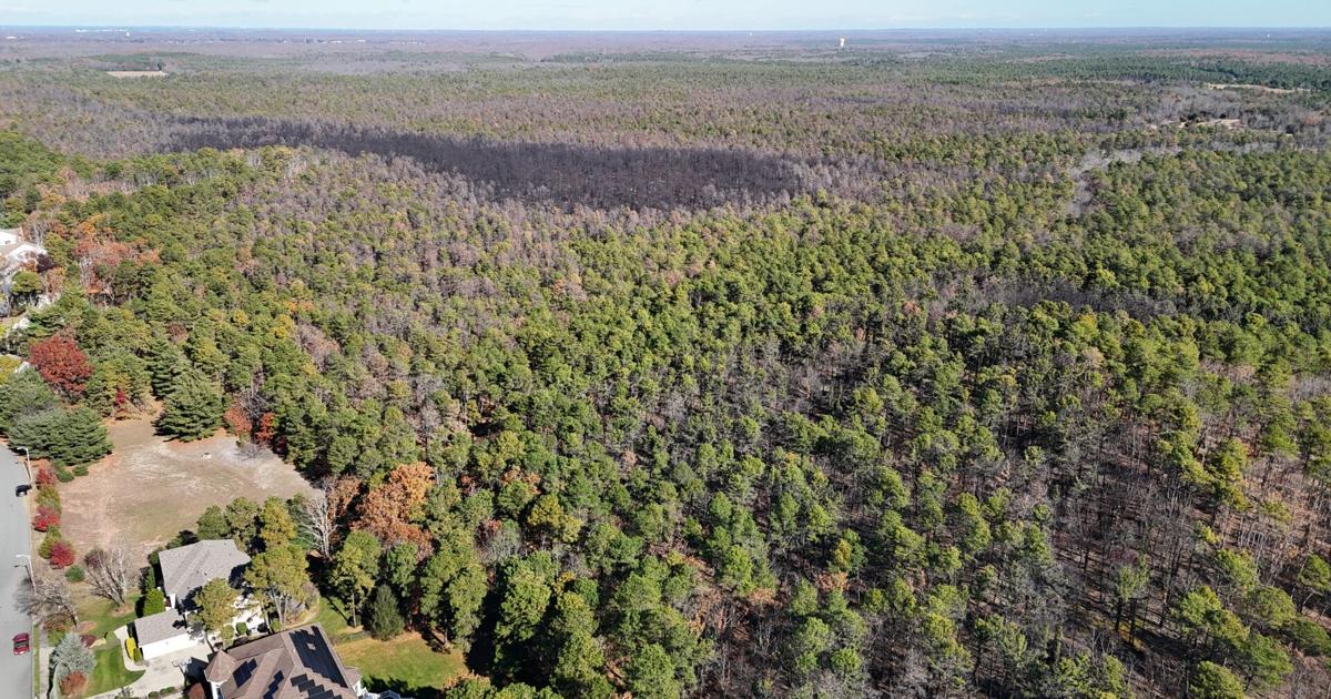 La Nature Préservée à Travers les Spectacles de Drones à Black Run Preserve