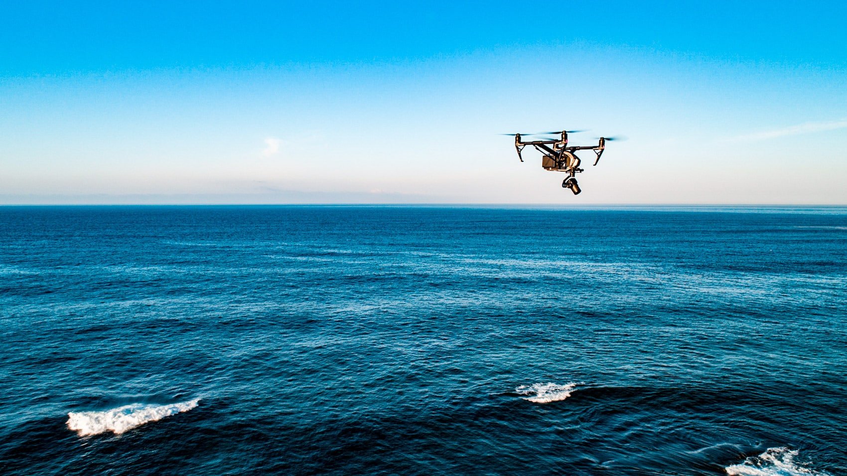 Les drones DJI capturent des orques chassant des grands requins blancs au Mexique