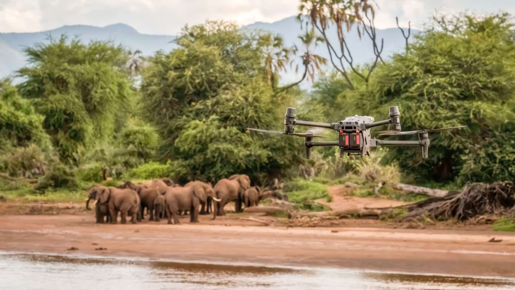 Nouvelles Frontières : Les Drones DJI dans la Recherche sur les Éléphants