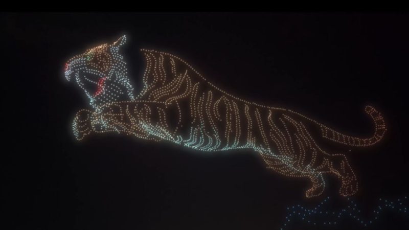 Record battu à Mysuru : près de 3000 drones pour une formation de tigre