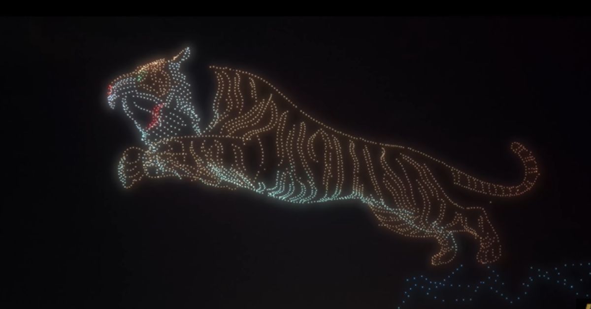 Record battu à Mysuru : près de 3000 drones pour une formation de tigre