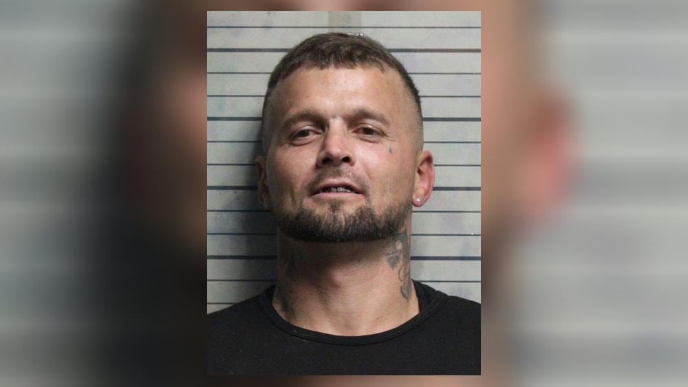 Spectacle impressionnant d&rsquo;un drone capturant l&rsquo;engagement d&rsquo;un K9 de police