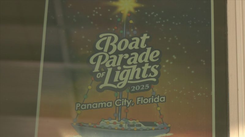 Un ballet de drones illumine le ciel avant la parade nautique annuelle à Panama City