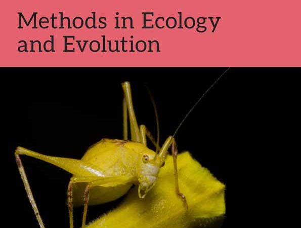 Amélioration des Études Écologiques grâce aux Drones : Nouvelles Perspectives