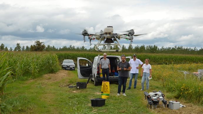 Innovation en agriculture : le semis de couverts par drone avant la moisson