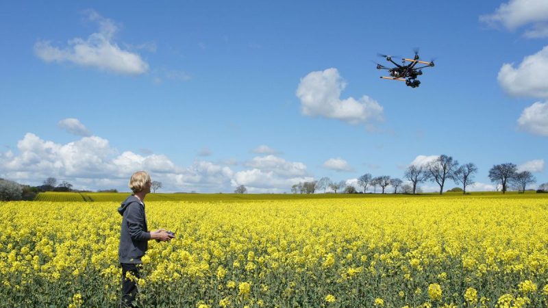 La Révolution des Drones dans l&rsquo;Agriculture et l&rsquo;Élevage