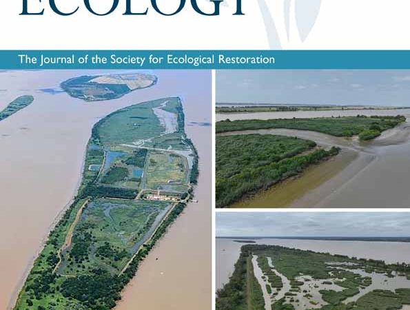 Les drones au service de la restauration des écosystèmes : une nouvelle étude montre leur efficacité