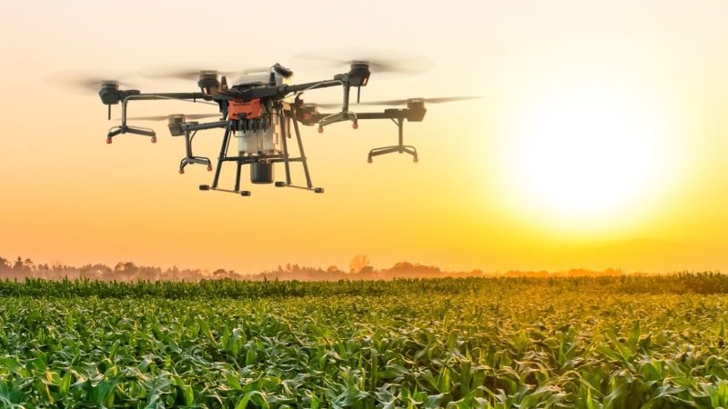 Perspective des agriculteurs sur l&rsquo;utilisation des drones en Tunisie