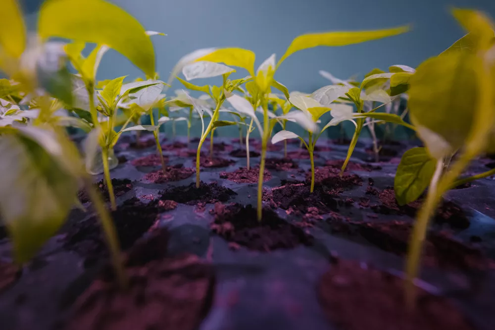 SIAM 2025 : l&rsquo;Innovation Agricole à l&rsquo;Honneur avec des Drones Intelligents