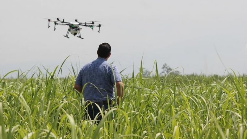 Tunisie : Les agriculteurs autorisés à utiliser des drones