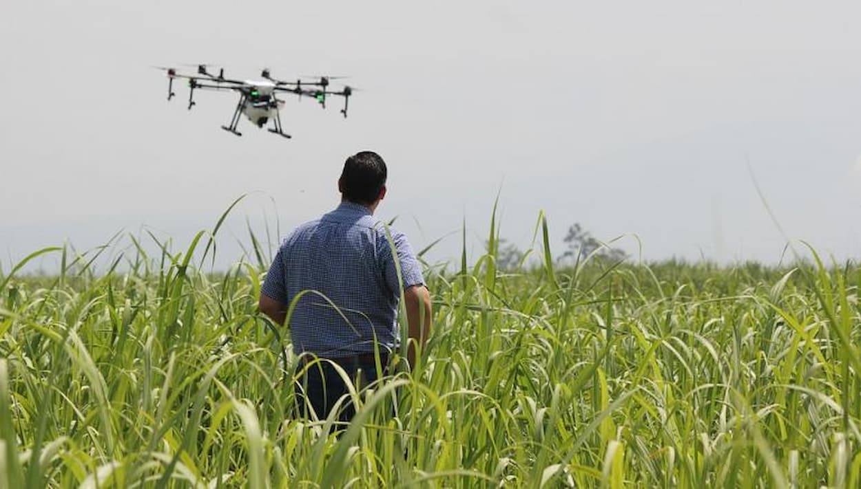 Tunisie : Les agriculteurs autorisés à utiliser des drones