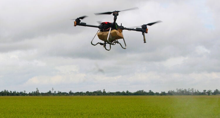 Vietnam : Innovation Agricole Avec Les Pesticides Appliqués par Drones