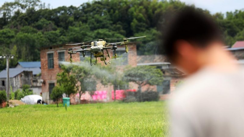 Conflits en Chine autour de l&rsquo;utilisation des drones pour l&rsquo;épandage de pesticides