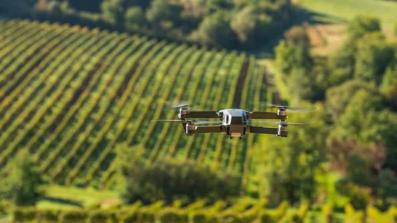 Algérie : Adoption de drones pour la surveillance des cultures stratégiques