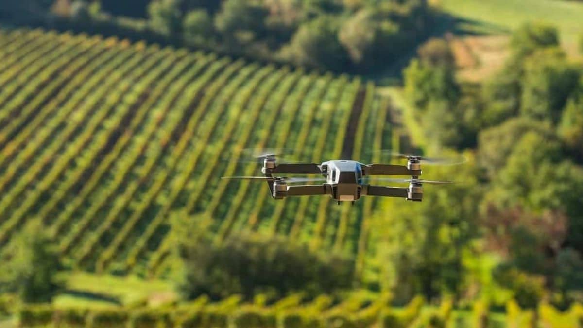 Algérie : Adoption de drones pour la surveillance des cultures stratégiques