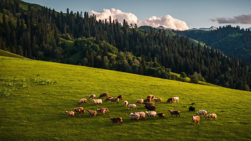 DJI annonce le lancement imminent de l&rsquo;Avata 360, un drone panoramique 8K