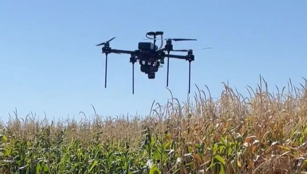 #France L&rsquo;utilisation des drones en agriculture pour détecter les adventices