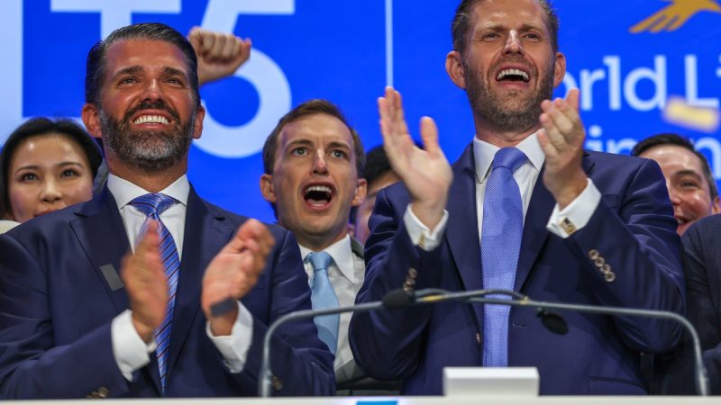 Impact des Drones de Donald Trump Jr en Iran