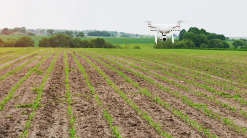La révolution de l&rsquo;agriculture de précision grâce aux drones