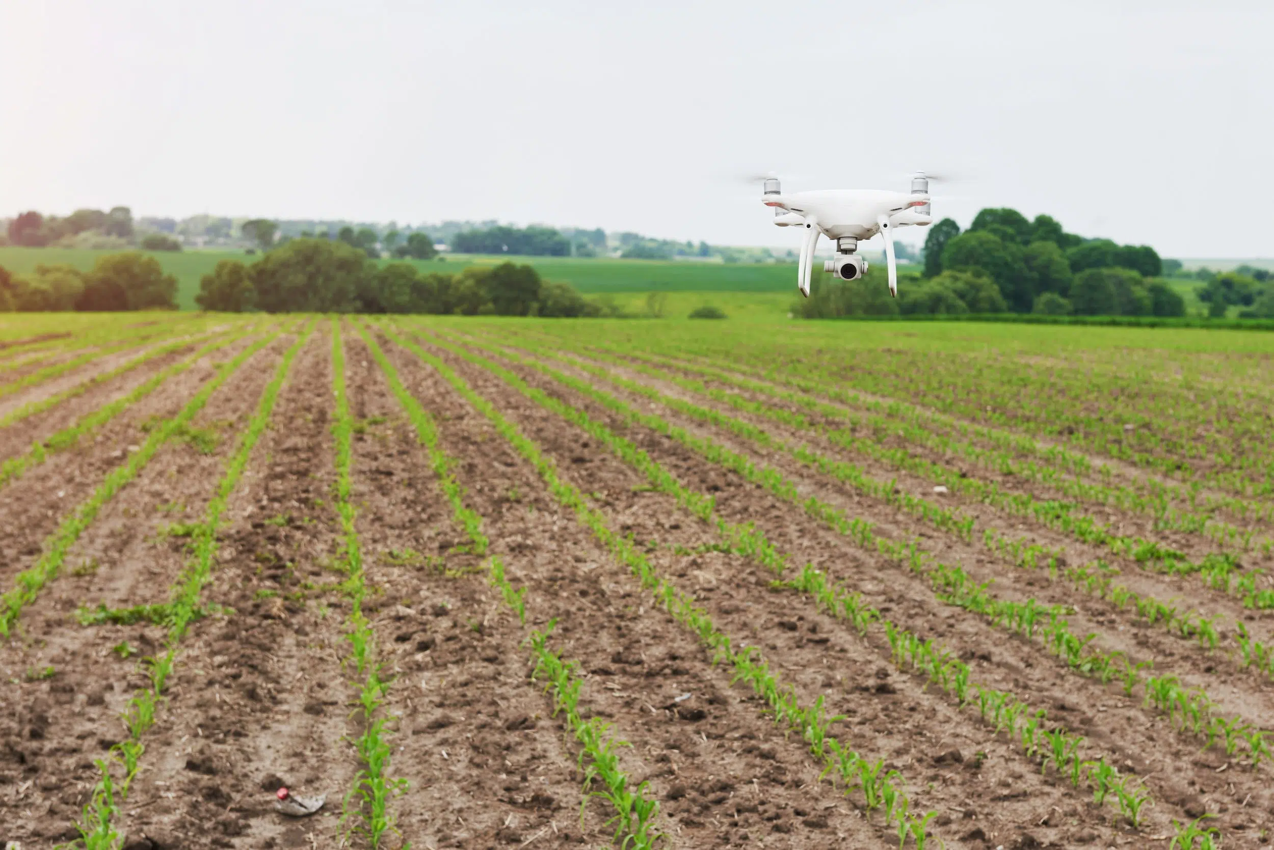 La révolution de l&rsquo;agriculture de précision grâce aux drones