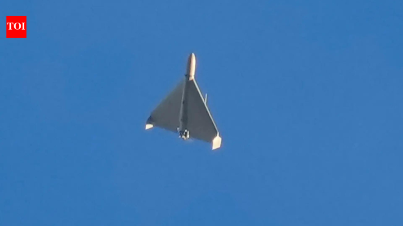 Lucas contre Shahed : le duel des drones abordables au Moyen-Orient