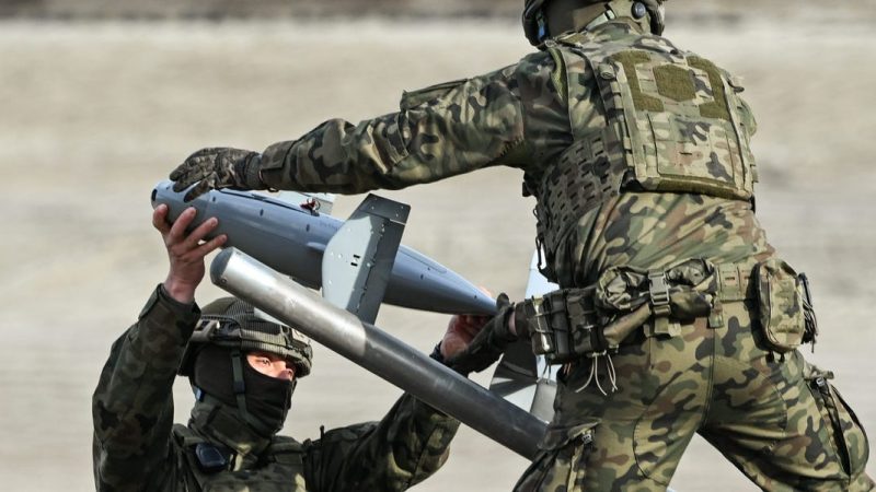 Merops, une nouvelle initiative pour le contrôle des drones au Moyen-Orient