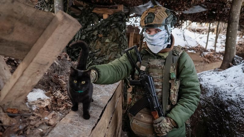 Ukraine : des drones utilisés pour évacuer des animaux depuis les lignes de front