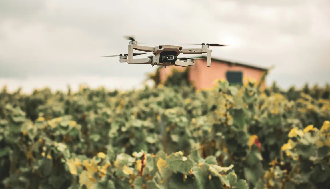 Vignobles : l&rsquo;autorisation de traiter par drone soulage les viticulteurs