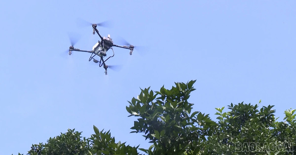 Nghia Tam : Les agriculteurs vietnamiens adoptent les drones pour moderniser leur production d&rsquo;agrumes