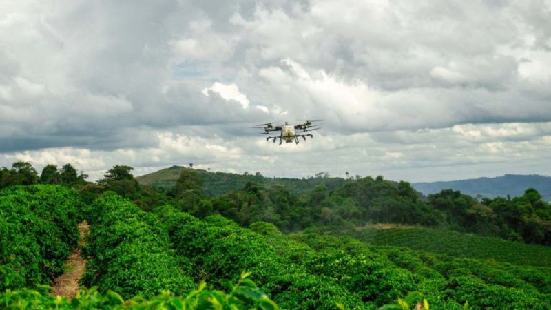 Les drones agricoles DJI conquièrent le monde, sauf les États-Unis