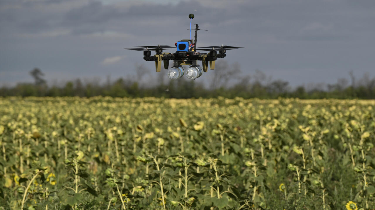 Les essaims de drones ukrainiens : entre science-fiction et réalité militaire
