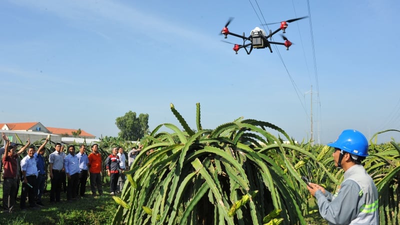 Les drones révolutionnent la gestion des vergers avec une agriculture économe en ressources