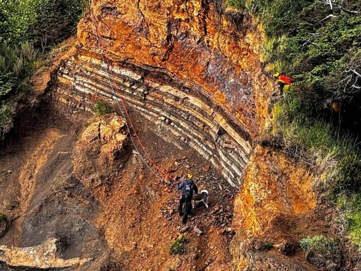 Un drone DJI de la police retrouve un chien bloqué sur une falaise en Oregon