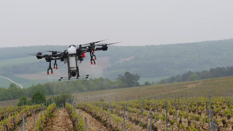 Épandage par drone en agriculture : 150 produits phytosanitaires autorisés